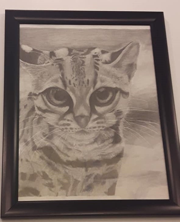 Eyes Art by Faith Gagnon Toe Beans Cat Cafe Eat, Drink, Adopt, Repeat